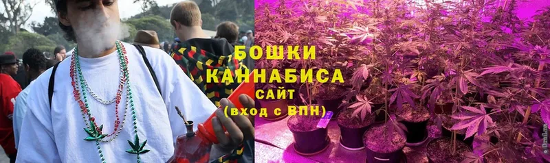 Бошки марихуана THC 21%  Дмитровск 